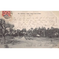 Rare collectable postcards of SENEGAL. Vintage Postcards of SENEGAL