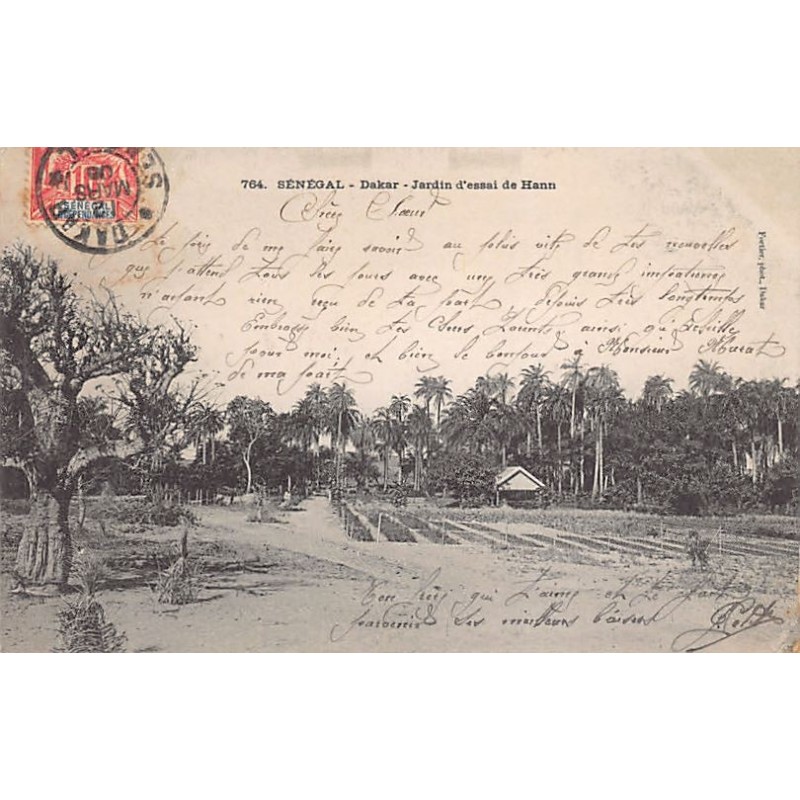 Rare collectable postcards of SENEGAL. Vintage Postcards of SENEGAL