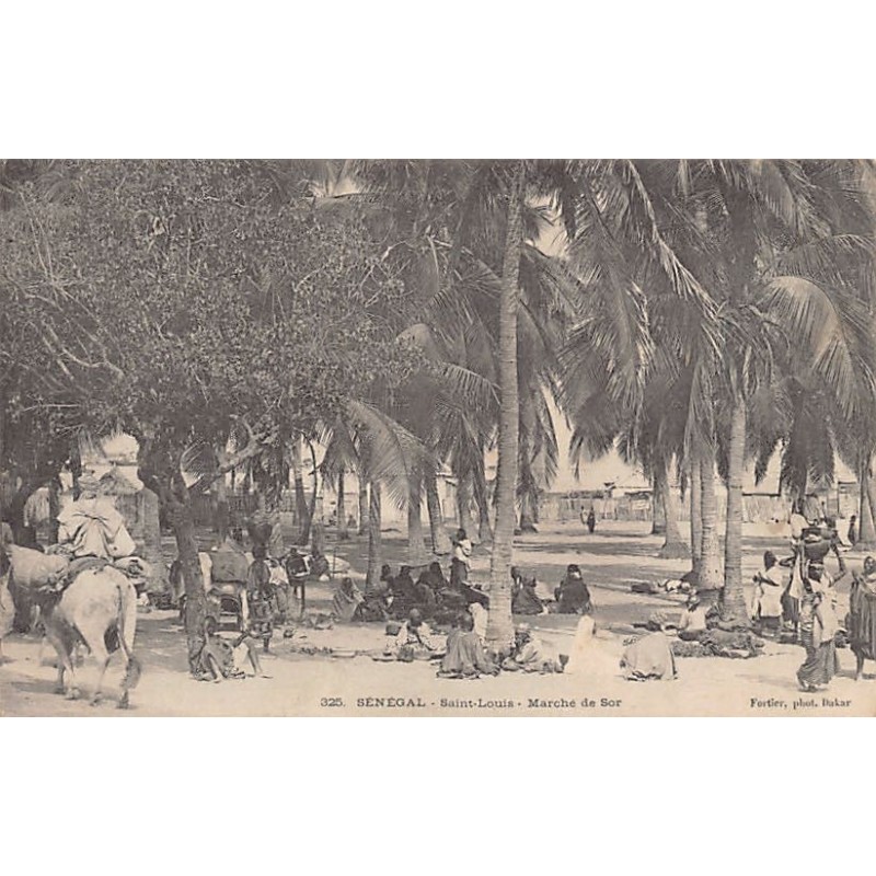 Rare collectable postcards of SENEGAL. Vintage Postcards of SENEGAL