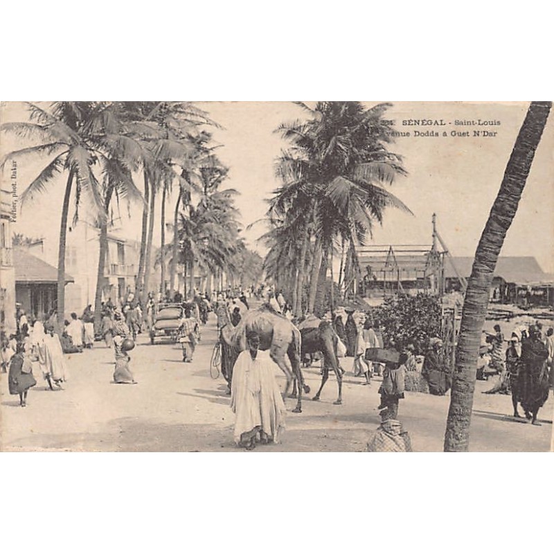 Rare collectable postcards of SENEGAL. Vintage Postcards of SENEGAL