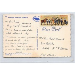 Rare collectable postcards of JAMAICA. Vintage Postcards of JAMAICA