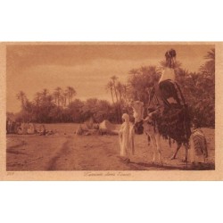 Rare collectable postcards of TUNISIA Tunisie. Vintage Postcards of TUNISIA Tunisie