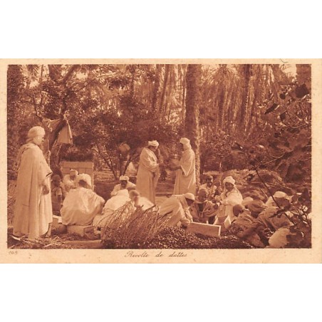 Rare collectable postcards of TUNISIA Tunisie. Vintage Postcards of TUNISIA Tunisie