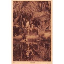 Rare collectable postcards of TUNISIA Tunisie. Vintage Postcards of TUNISIA Tunisie