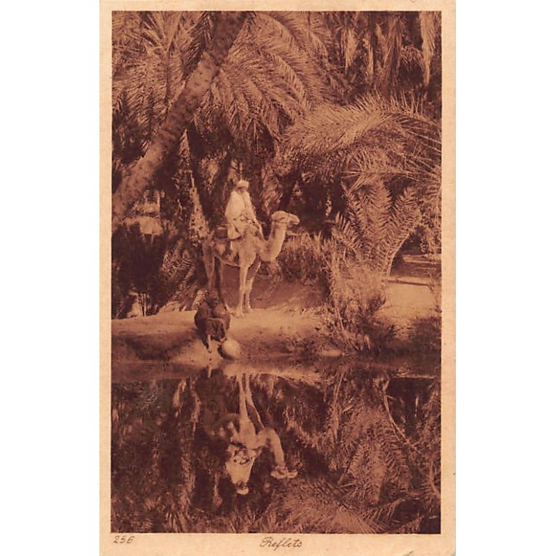 Rare collectable postcards of TUNISIA Tunisie. Vintage Postcards of TUNISIA Tunisie