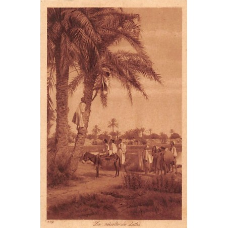 Rare collectable postcards of TUNISIA Tunisie. Vintage Postcards of TUNISIA Tunisie