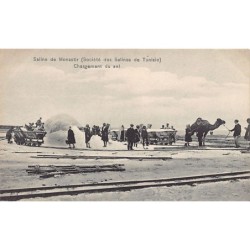 Rare collectable postcards of TUNISIA Tunisie. Vintage Postcards of TUNISIA Tunisie