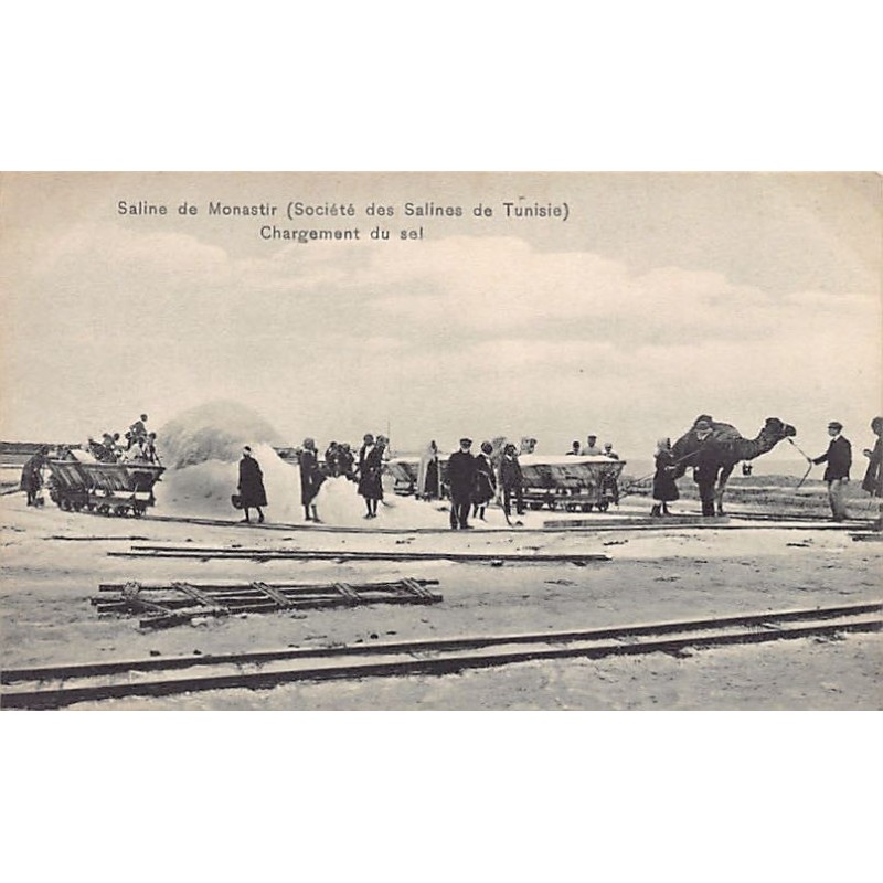 Rare collectable postcards of TUNISIA Tunisie. Vintage Postcards of TUNISIA Tunisie