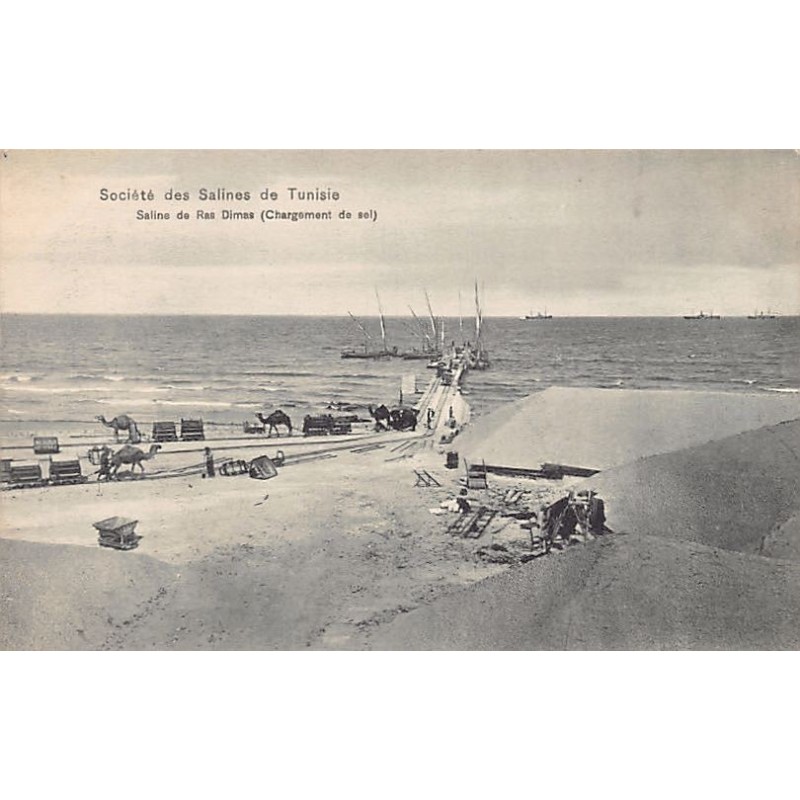 Rare collectable postcards of TUNISIA Tunisie. Vintage Postcards of TUNISIA Tunisie