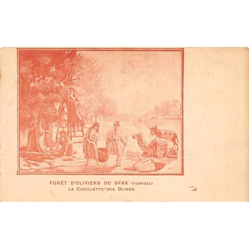 Rare collectable postcards of TUNISIA Tunisie. Vintage Postcards of TUNISIA Tunisie