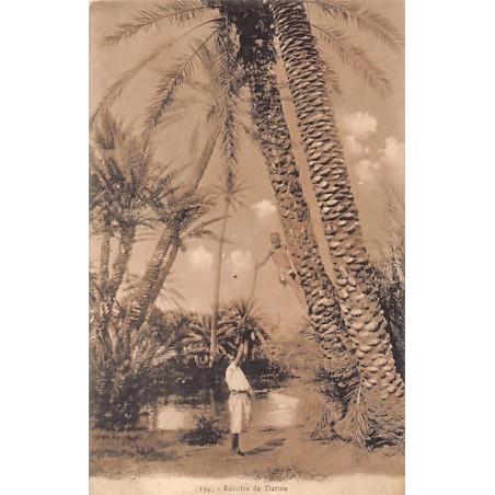 Rare collectable postcards of TUNISIA Tunisie. Vintage Postcards of TUNISIA Tunisie