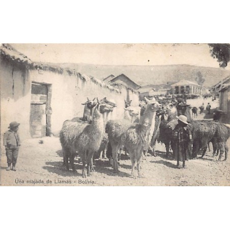 Rare collectable postcards of BOLIVIA. Vintage Postcards of BOLIVIA