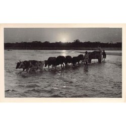 Rare collectable postcards of BOLIVIA. Vintage Postcards of BOLIVIA