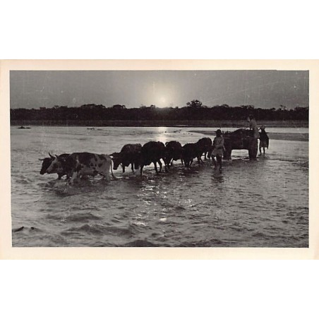 Rare collectable postcards of BOLIVIA. Vintage Postcards of BOLIVIA