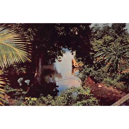 Rare collectable postcards of GUADELOUPE. Vintage Postcards of GUADELOUPE