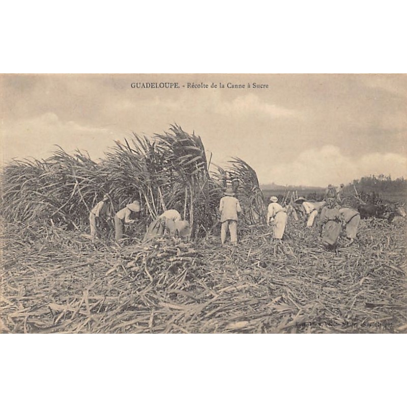 Rare collectable postcards of GUADELOUPE. Vintage Postcards of GUADELOUPE