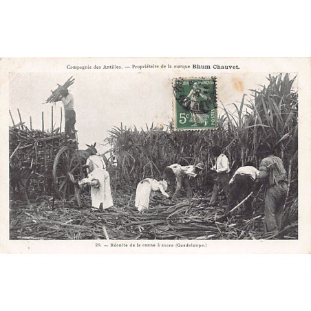 Rare collectable postcards of GUADELOUPE. Vintage Postcards of GUADELOUPE