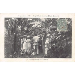 Rare collectable postcards of GUADELOUPE. Vintage Postcards of GUADELOUPE