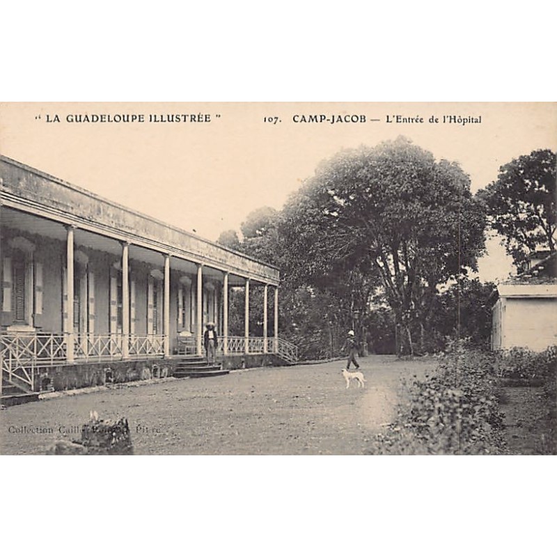 Rare collectable postcards of GUADELOUPE. Vintage Postcards of GUADELOUPE