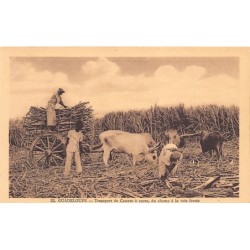 Rare collectable postcards of GUADELOUPE. Vintage Postcards of GUADELOUPE