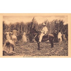 Rare collectable postcards of GUADELOUPE. Vintage Postcards of GUADELOUPE