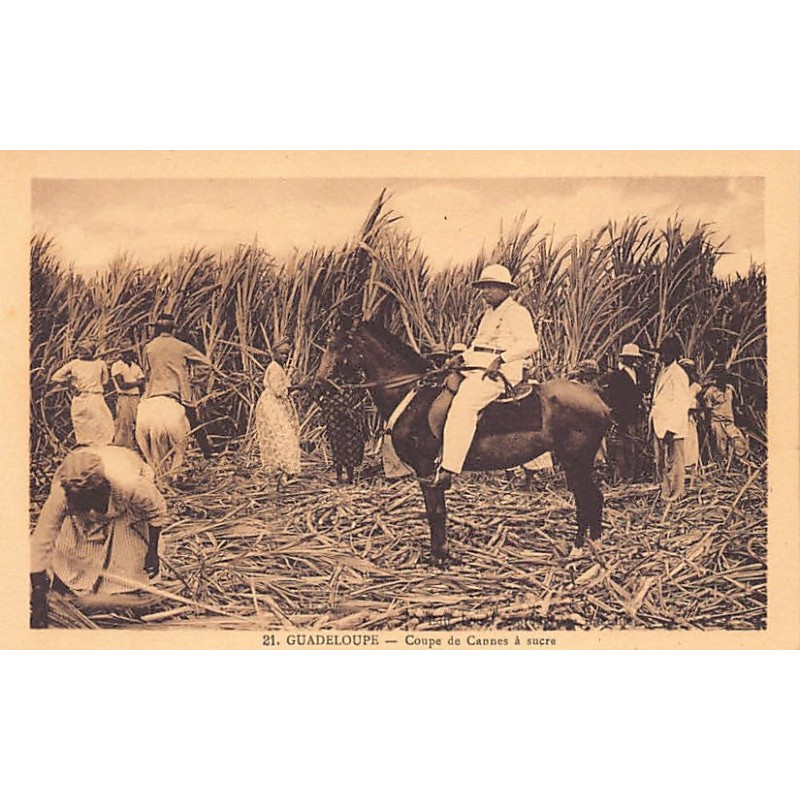 Rare collectable postcards of GUADELOUPE. Vintage Postcards of GUADELOUPE