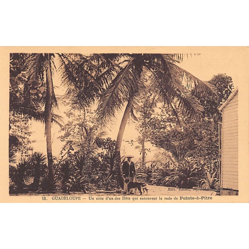 Rare collectable postcards of GUADELOUPE. Vintage Postcards of GUADELOUPE