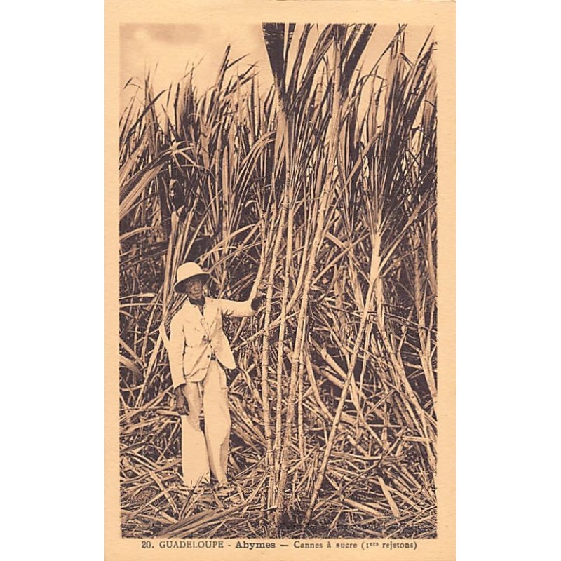 Rare collectable postcards of GUADELOUPE. Vintage Postcards of GUADELOUPE