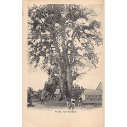 Rare collectable postcards of GUADELOUPE. Vintage Postcards of GUADELOUPE