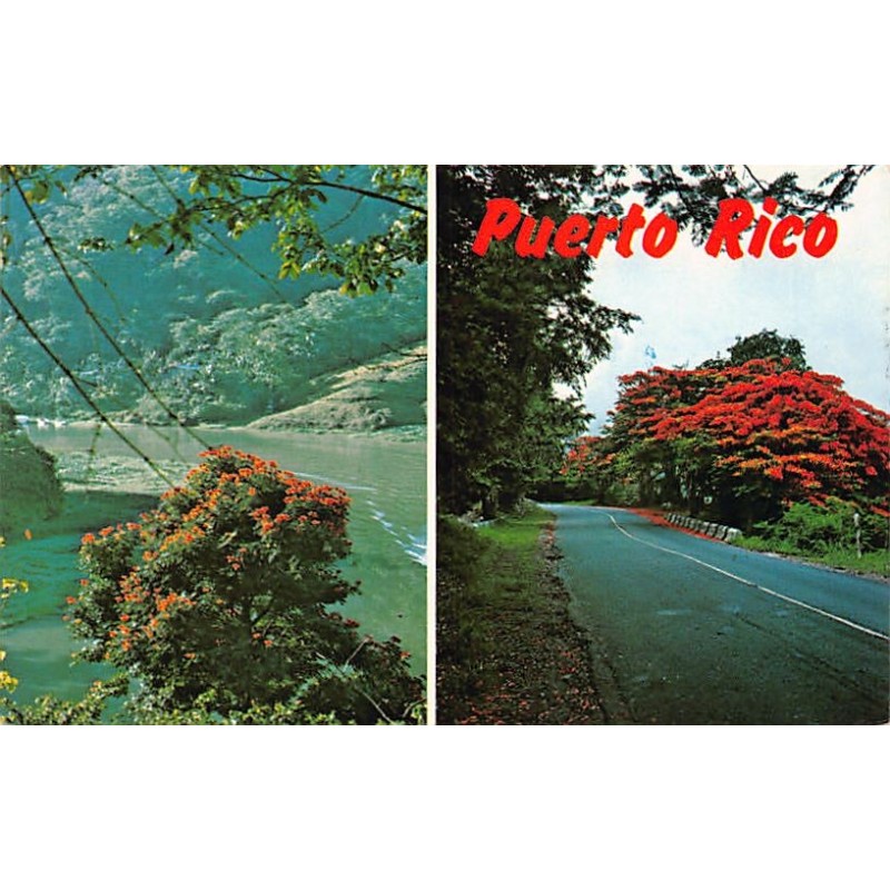 Rare collectable postcards of PUERTO RICO. Vintage Postcards of PUERTO RICO