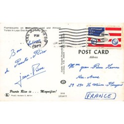 Rare collectable postcards of PUERTO RICO. Vintage Postcards of PUERTO RICO