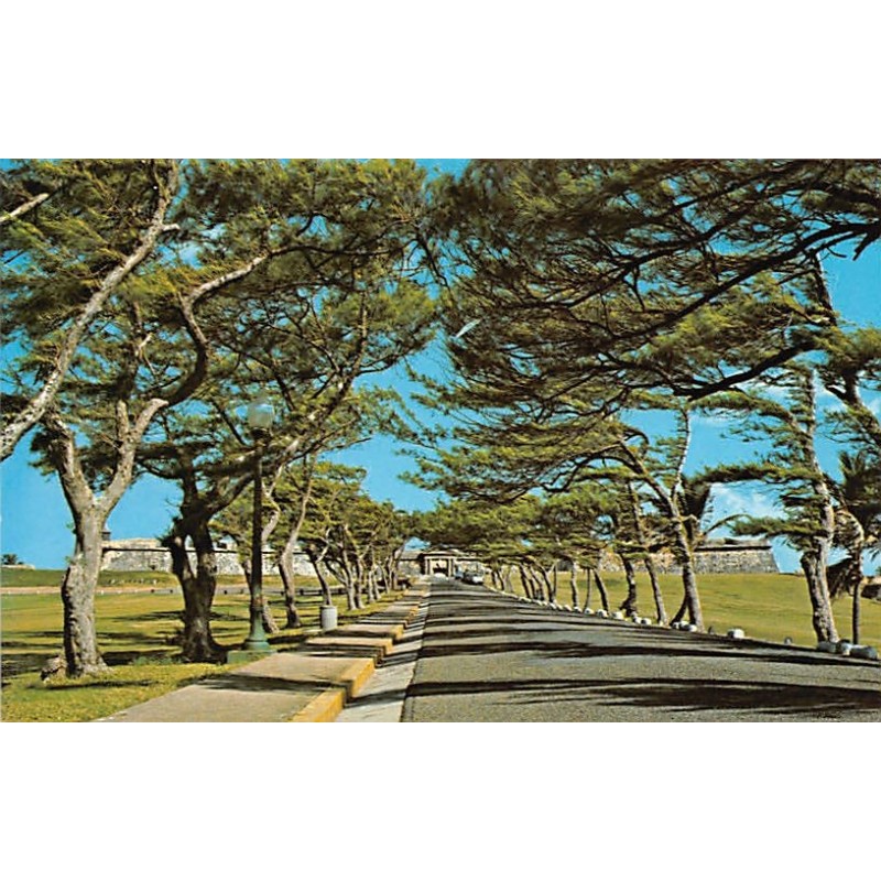 Rare collectable postcards of PUERTO RICO. Vintage Postcards of PUERTO RICO