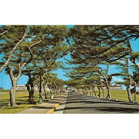 Rare collectable postcards of PUERTO RICO. Vintage Postcards of PUERTO RICO