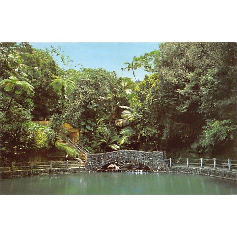 Rare collectable postcards of PUERTO RICO. Vintage Postcards of PUERTO RICO