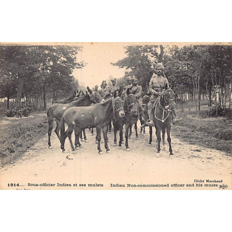 Rare collectable postcards of INDIA. Vintage Postcards of INDIA