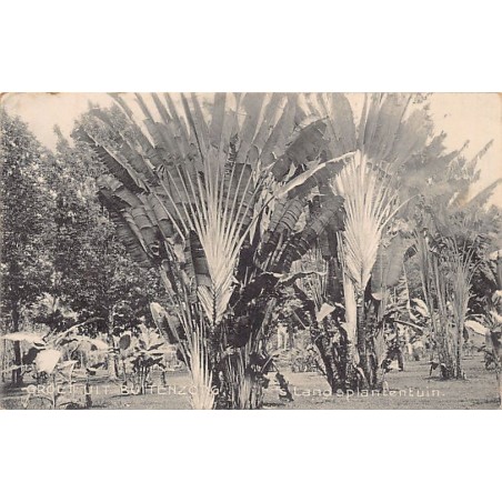 Rare collectable postcards of INDONESIA. Vintage Postcards of INDONESIA