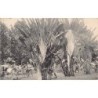 Rare collectable postcards of INDONESIA. Vintage Postcards of INDONESIA