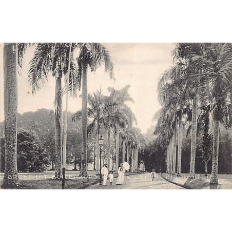 Rare collectable postcards of INDONESIA. Vintage Postcards of INDONESIA