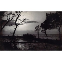 Rare collectable postcards of INDONESIA. Vintage Postcards of INDONESIA