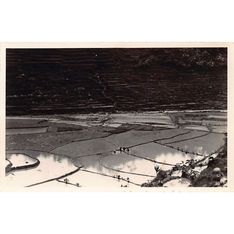 Rare collectable postcards of INDONESIA. Vintage Postcards of INDONESIA