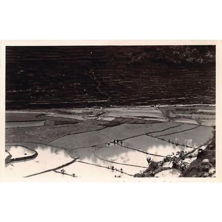 Rare collectable postcards of INDONESIA. Vintage Postcards of INDONESIA