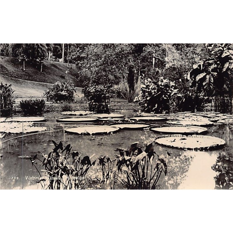 Rare collectable postcards of INDONESIA. Vintage Postcards of INDONESIA