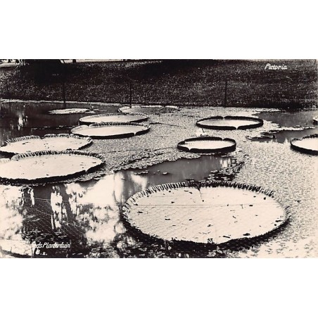 Rare collectable postcards of INDONESIA. Vintage Postcards of INDONESIA