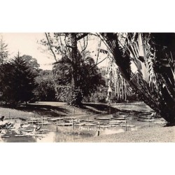 Rare collectable postcards of INDONESIA. Vintage Postcards of INDONESIA