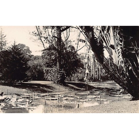 Rare collectable postcards of INDONESIA. Vintage Postcards of INDONESIA