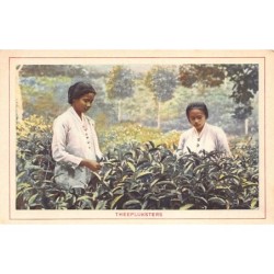 Rare collectable postcards of INDONESIA. Vintage Postcards of INDONESIA