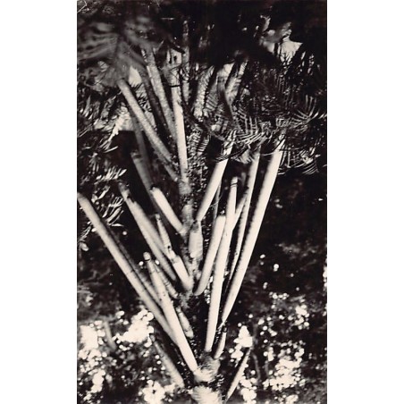 Rare collectable postcards of INDONESIA. Vintage Postcards of INDONESIA