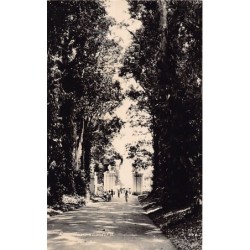 Rare collectable postcards of INDONESIA. Vintage Postcards of INDONESIA