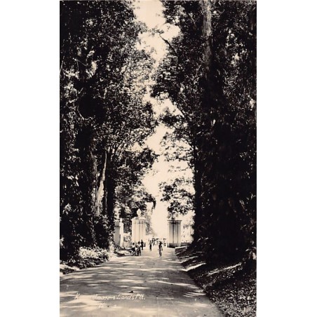 Rare collectable postcards of INDONESIA. Vintage Postcards of INDONESIA