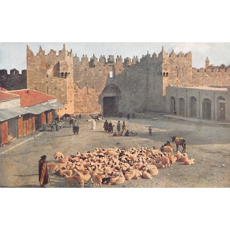 Rare collectable postcards of ISRAEL & PALESTINE. Vintage Postcards of ISRAEL & PALESTINE